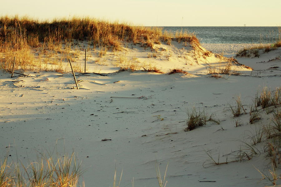 Sand Dunes At Gulf Shores Beach Alabama At Sunset Photograph by