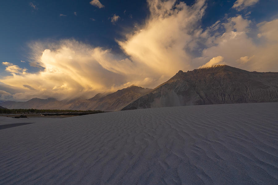 Sand Dunes At Sumur Photograph by Henk Goossens - Fine Art America