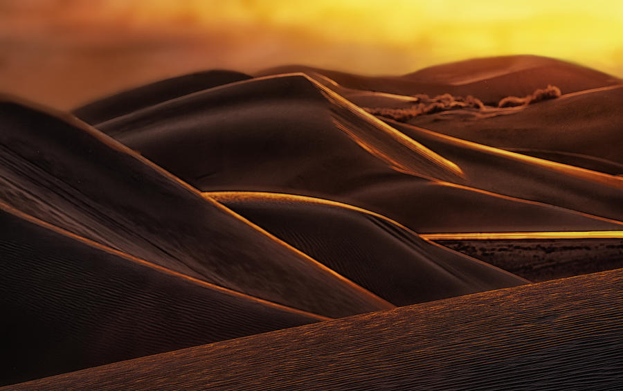 Sand Dunes At Sunset Photograph by Jenny Qiu