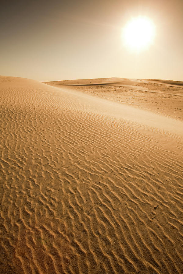 Sand Dunes At Sunset Photograph by Pgiam