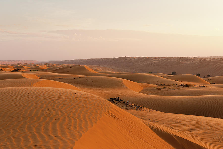 Sand Dunes At Wahiba Sands, Oman Photograph By Jalag   Gregor Lengler 