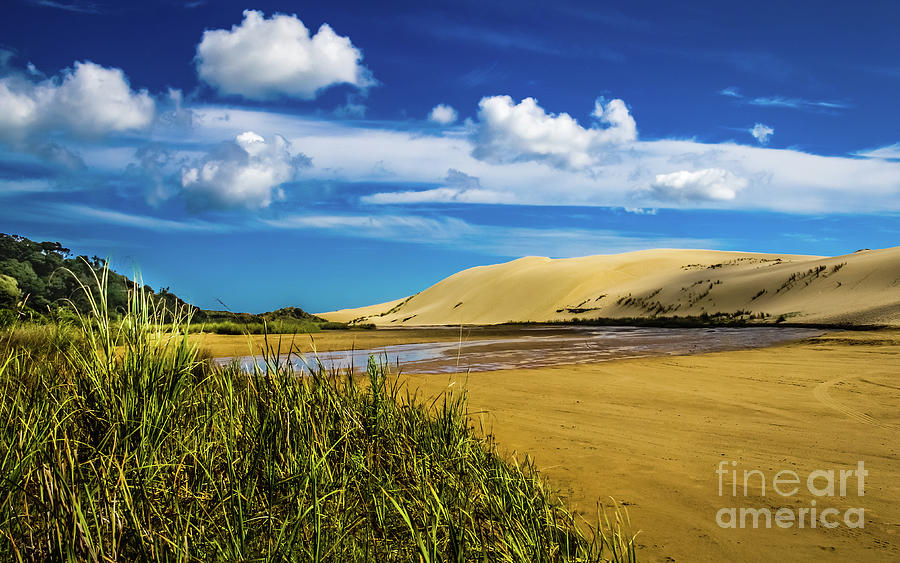 90 Miles Beach, New Zealand Photograph by Lyl Dil Creations