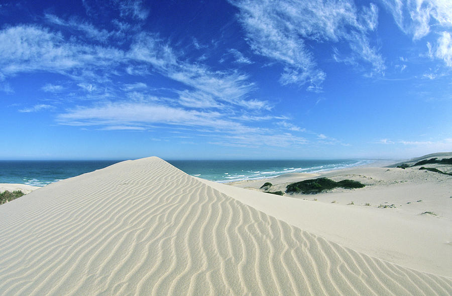 Sand Dunes, Bredaasdorp Photograph by Franz Marc Frei