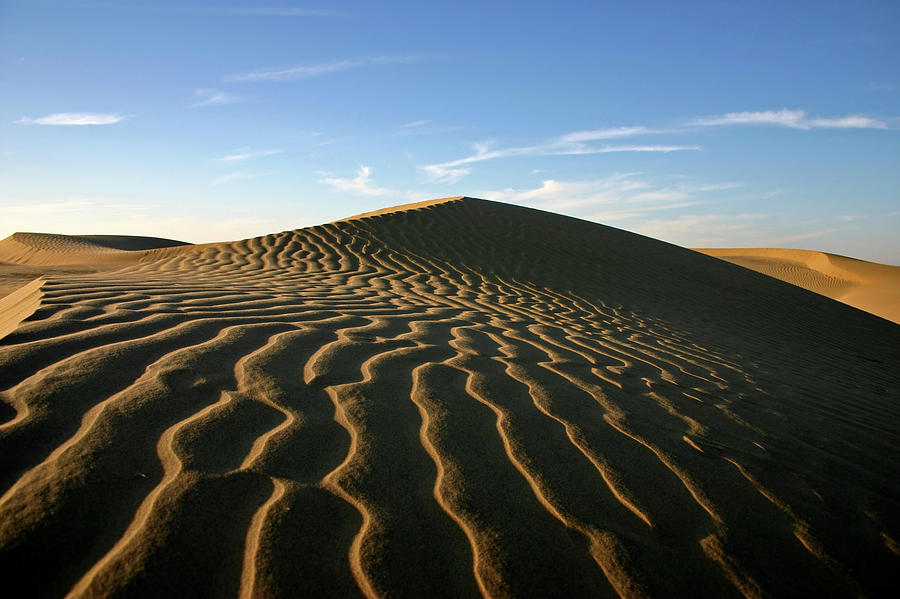 Sand Dunes Photograph by Bremecr