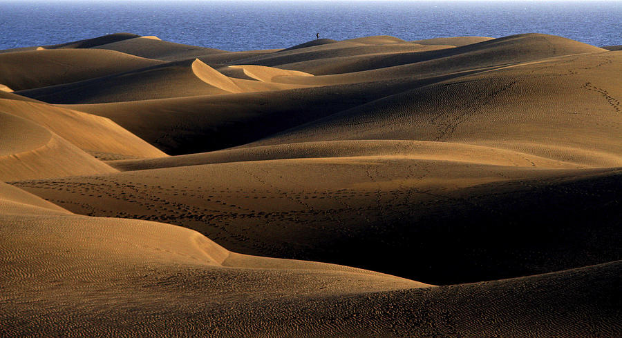 Sand Dunes Photograph by Bror Johansson