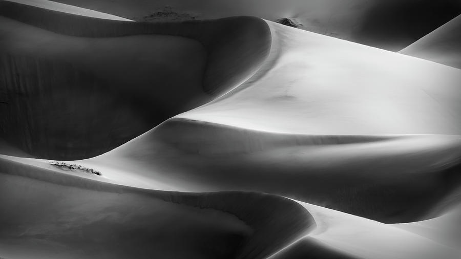 Sand Dunes Photograph by C. Fredrickson Photography