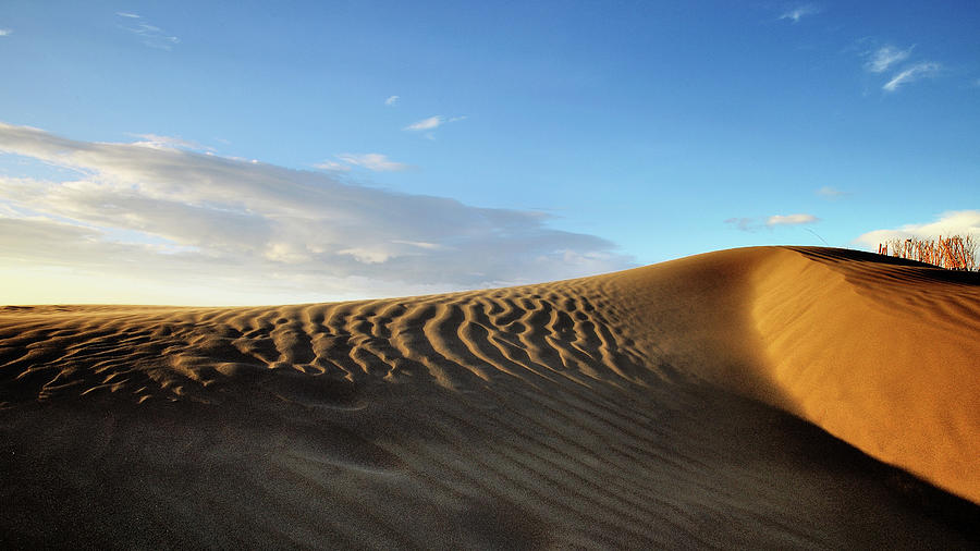Sand Dunes Photograph by Copyright Of Eason Lin Ladaga