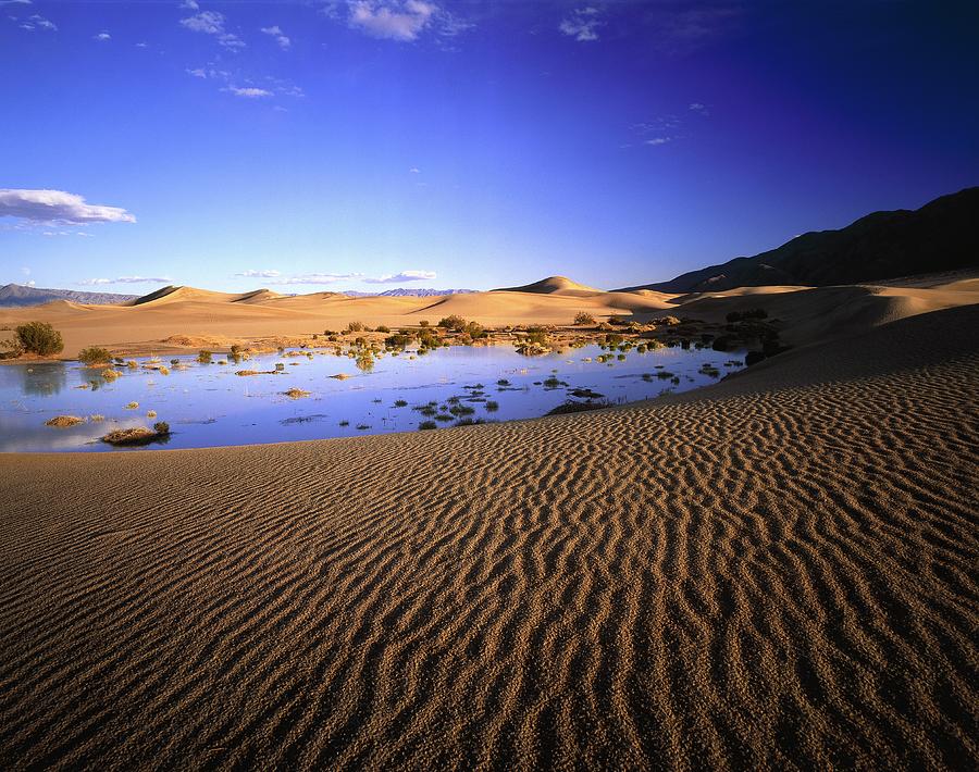 Sand Dunes, Death Valley, California Digital Art by Giovanni Simeone
