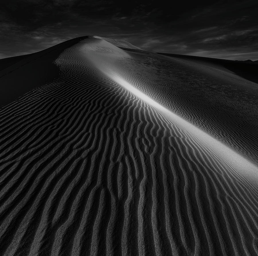 Sand Dunes Death Valley Photograph by Judy Tseng