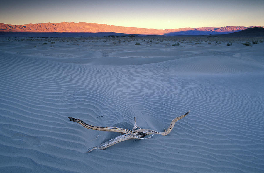 Sand Dunes, Death Valley Np, Ca Digital Art by Heeb Photos