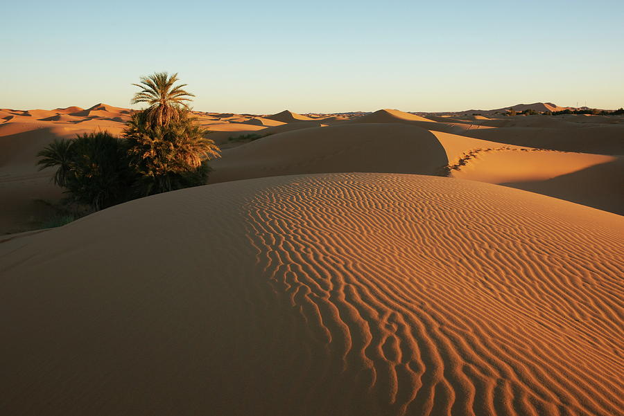 Sand Dunes, Desert Area, Morocco Digital Art by Siegfried Eigstler