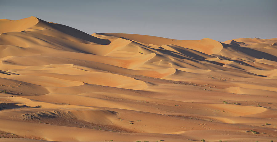 Sand Dunes, Empty Quarter Desert, Abu Dhabi, United Arab Emirate ...