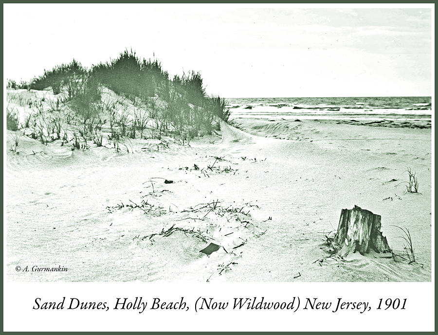 Sand Dunes, Holly Beach, New Jersey, 1901 Photograph by A Macarthur Gurmankin
