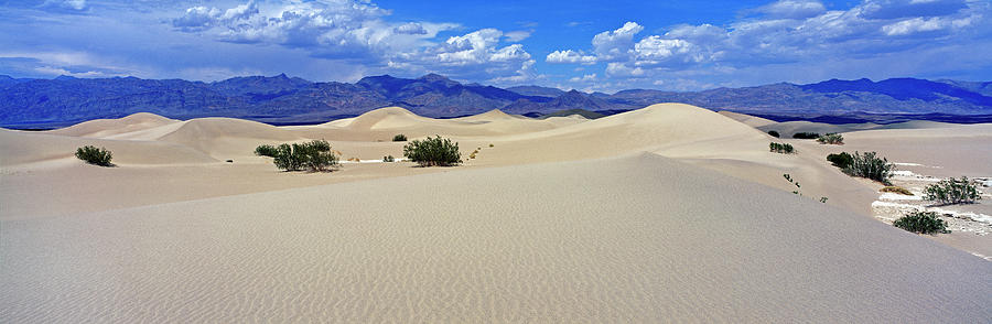 Sand Dunes In A Desert Photograph by Murat Taner