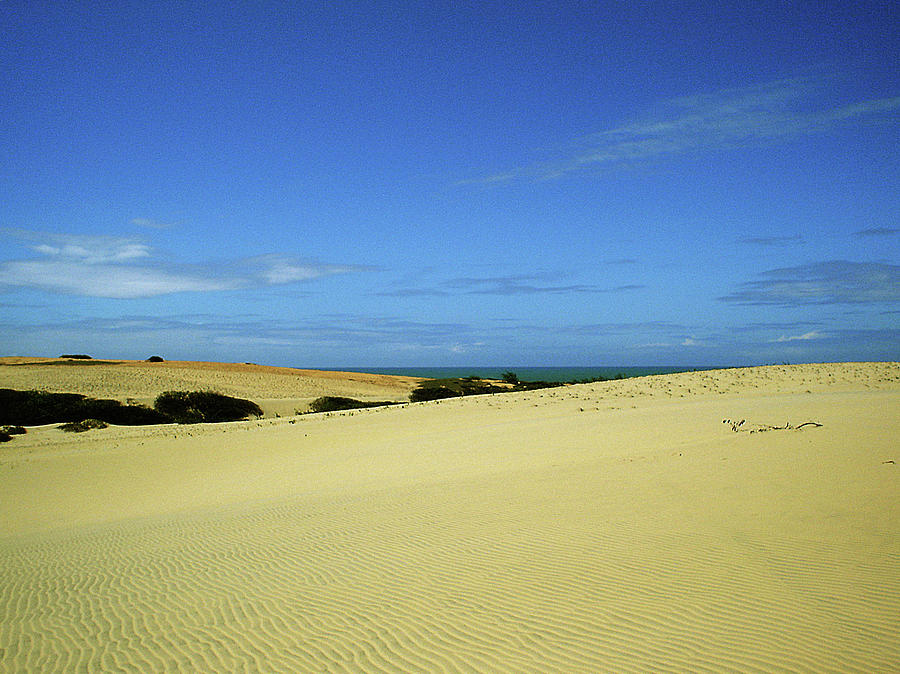 Sand Dunes In Brazil Photograph by Photo By Marcelo Maia