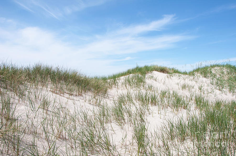 Sand Dunes Photograph by Jesper Klausen / Science Photo Library - Fine ...