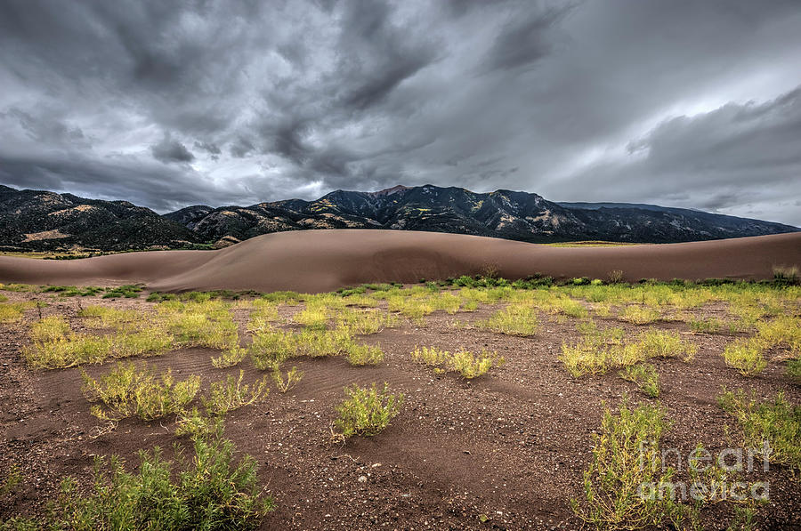 Yellow Photograph - Sand Dunes by Joe Sparks Yellow Photograph - Sand Dunes by Joe Sparks