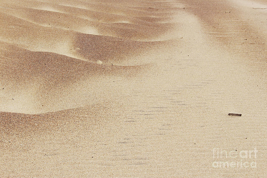 Nature Photograph - Sand Dunes by Katherine Erickson