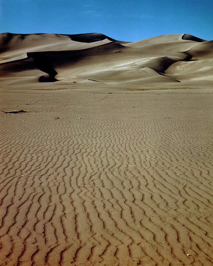 Sand Dunes Digital Art by Loomis Dean - Fine Art America