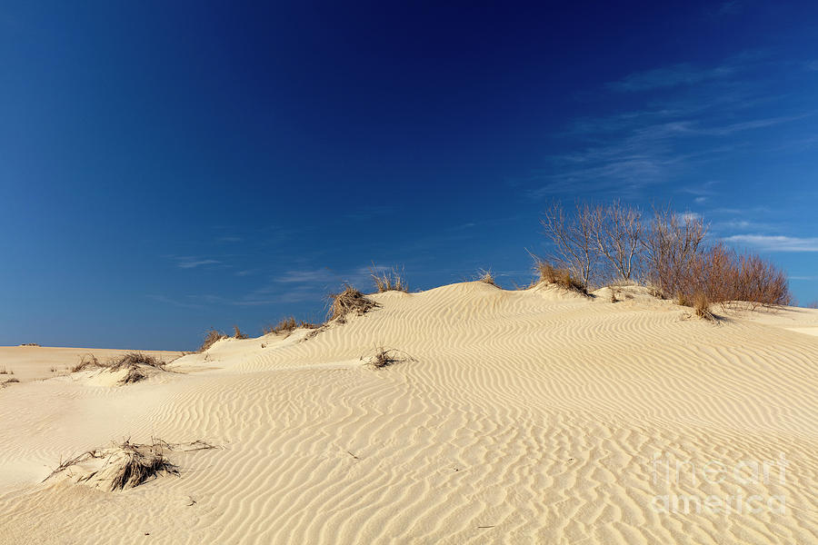 Sand Dunes Photograph by Michael Szoenyi/science Photo Library