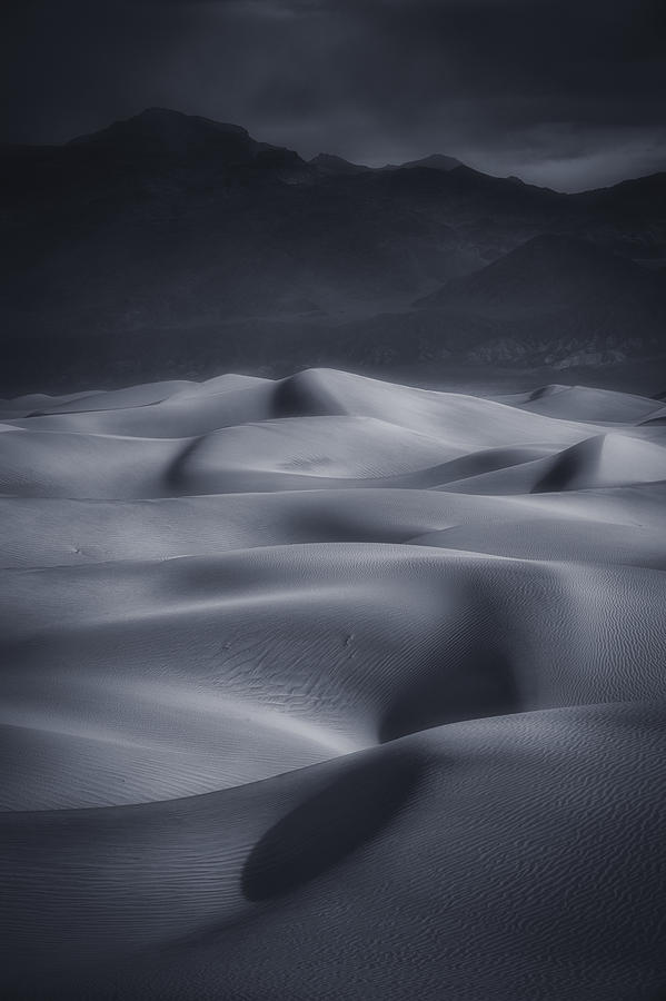 Np Photograph - Sand Dunes by Michael Zheng