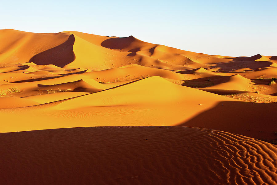 Sand Dunes Of Sahara Desert Photograph by Kelly Cheng Travel Photography