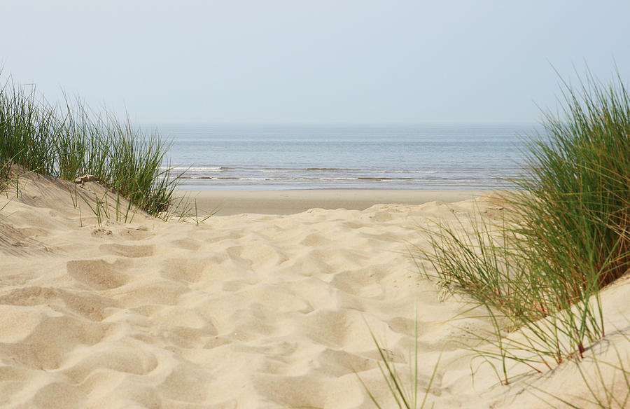 Sand Dunes On Beach At North Sea Photograph by Knaupe