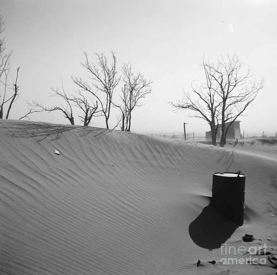 Sand Dunes On Farm, Cimarron County, Oklahoma, 1936 Photograph by Arthur Rothstein