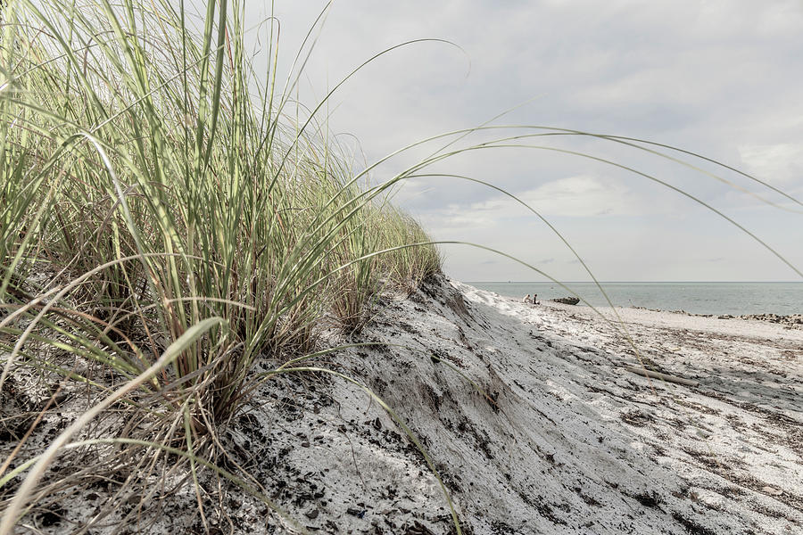 Sand Dunes On The Beach Digital Art by Laura Diez