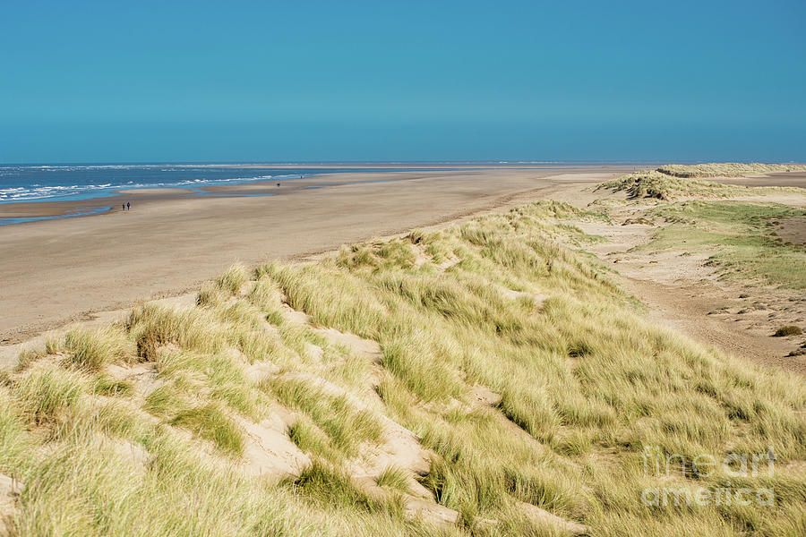 Sand dunes running along Holkham bay Photograph by Andrew Michael
