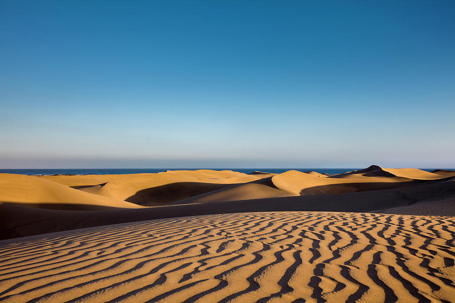 Sand Dunes Digital Art by Sabine Lubenow