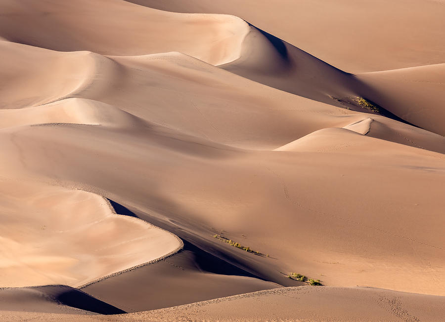 Sand Dunes Photograph by Siyu And Wei Photography