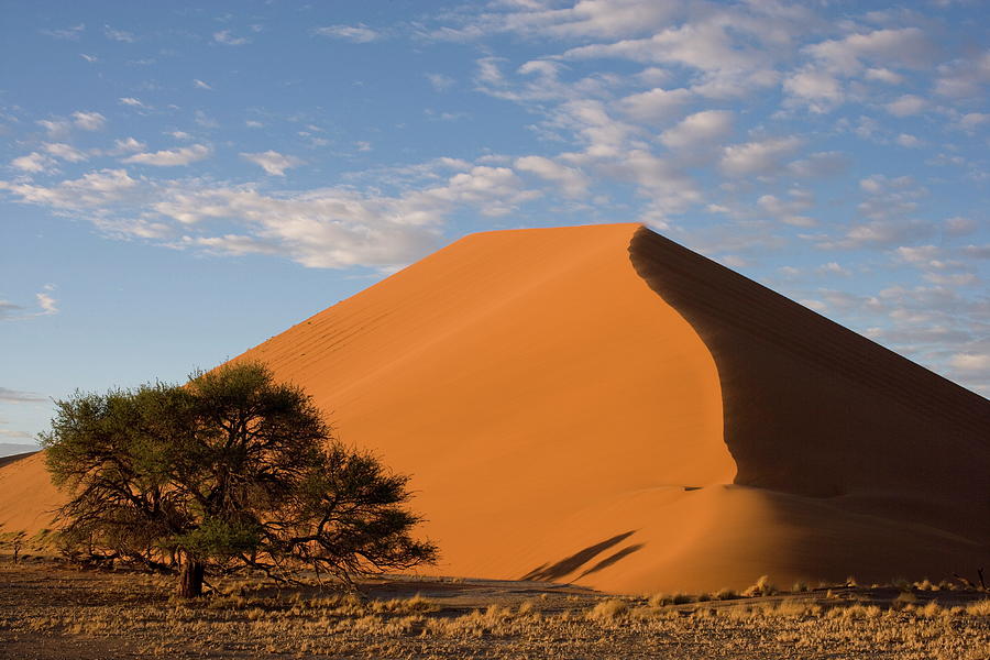 Sand Dunes, Sossusvlei, Namib Desert Photograph by Thorsten Milse / Robertharding Sand Dunes, Sossusvlei, Namib Desert Photograph by Thorsten Milse / Robertharding