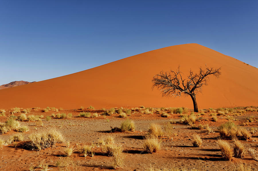 Sand Dunes, Sossusvlei, Namibia Digital Art by Gunter Hartmann