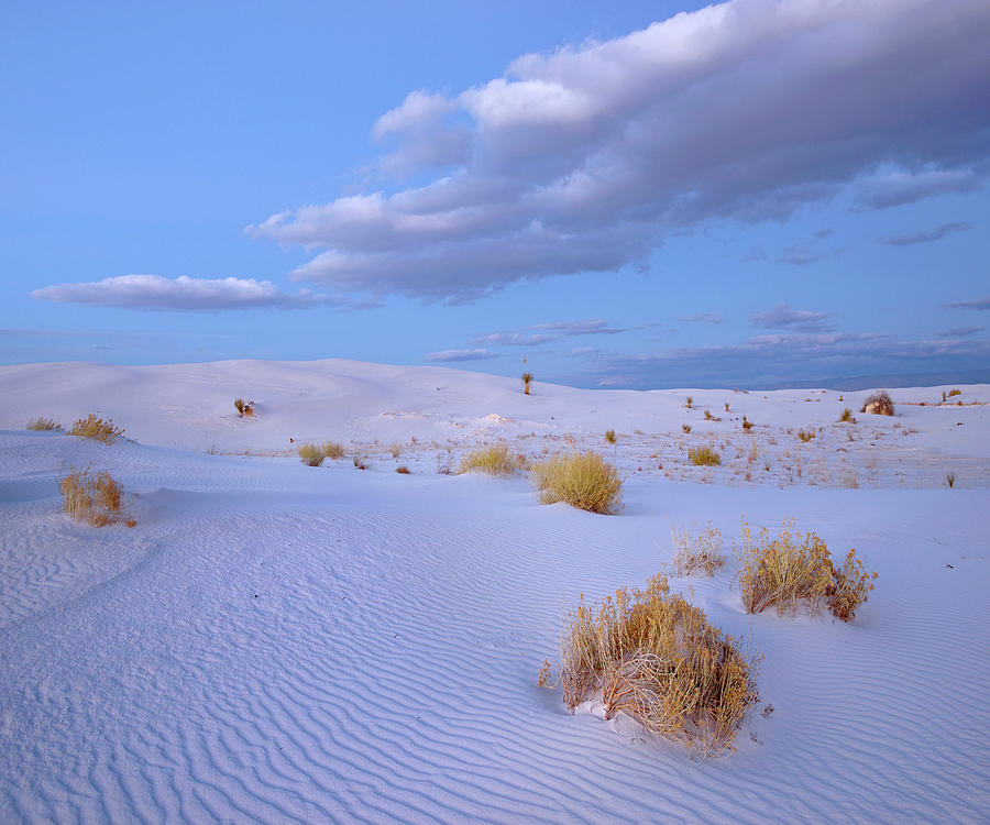 Sand Dunes, White Sands Nm, New Mexico Photograph by Tim Fitzharris