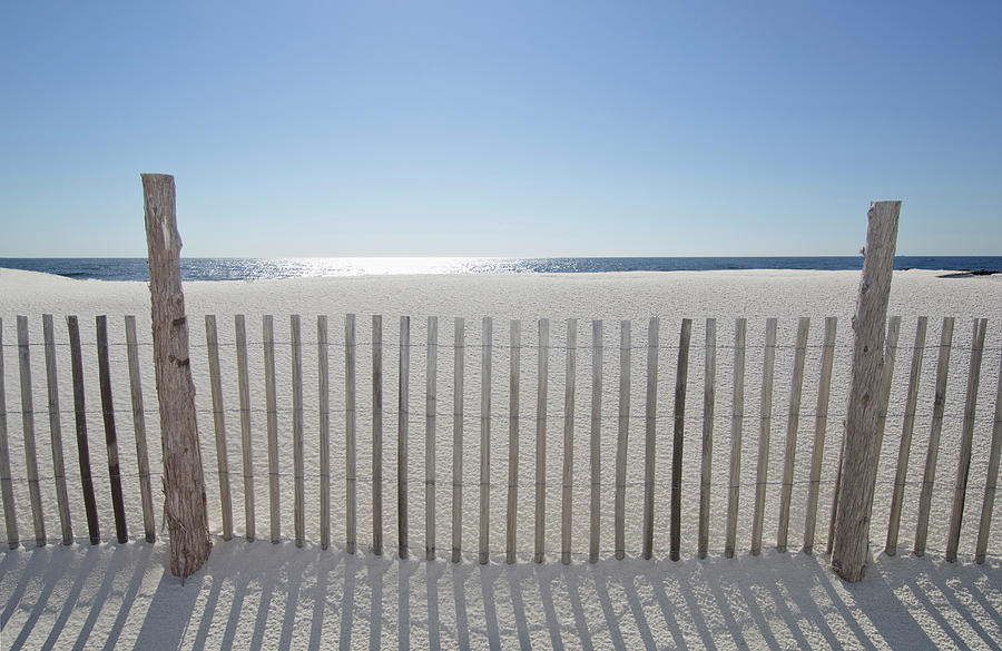 Sand Fence On Beach Photograph by Nine Ok