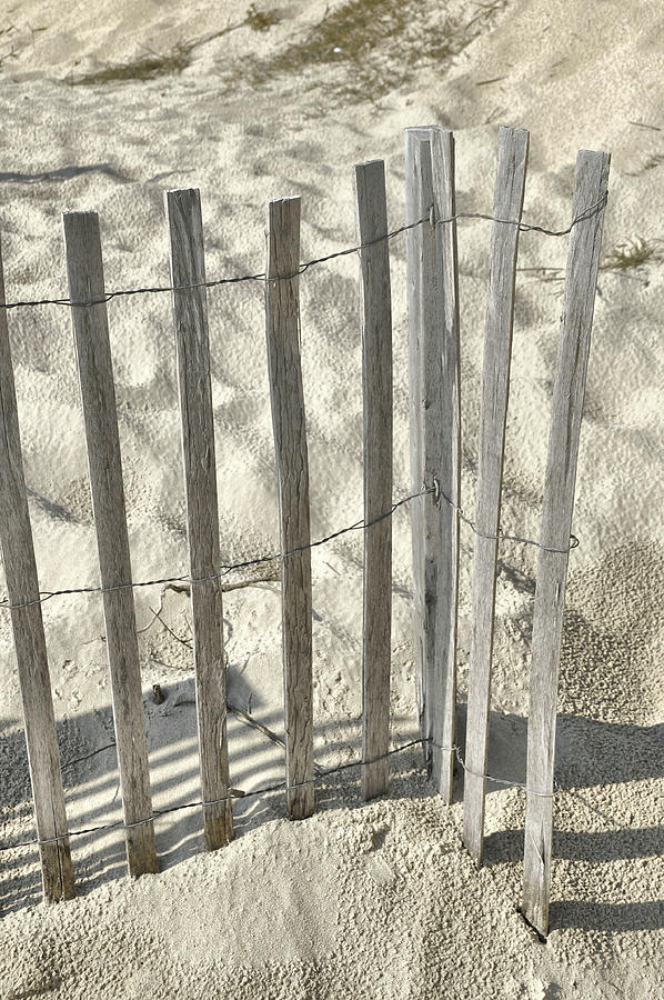 Sand Fencing Photograph by JAMART Photography