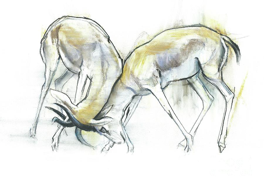 Sand Gazelles, Charcoal And Conte Painting by Mark Adlington