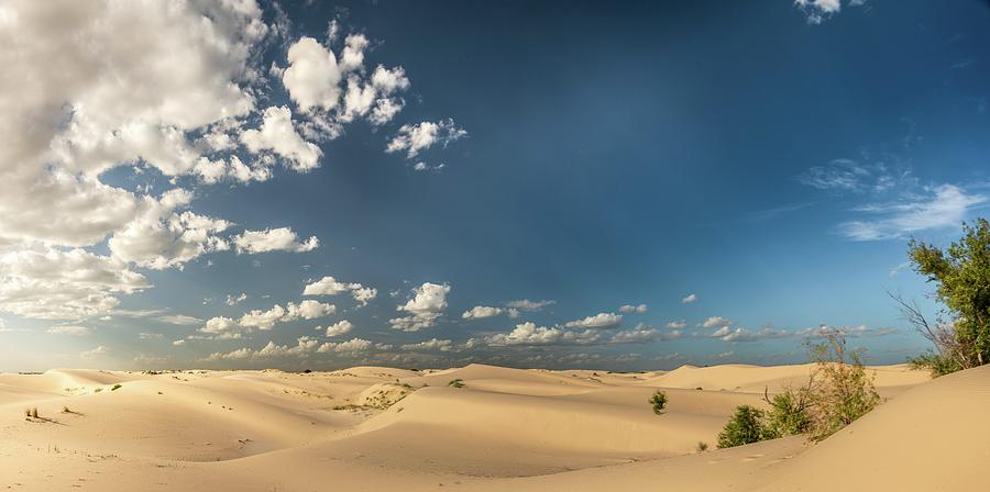 Sand Hills Texas Photograph by David Downs