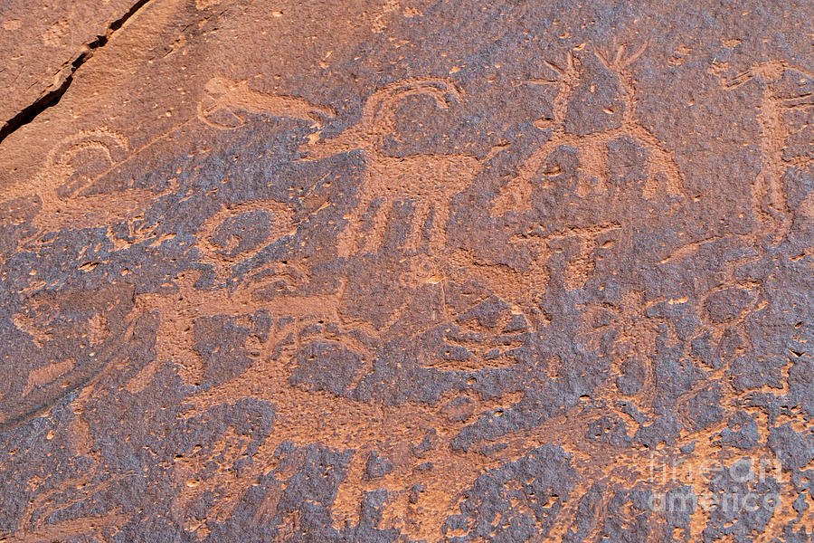Sand Island Native American petroglyph site near Bluff, Utah USA Photograph by William Kuta