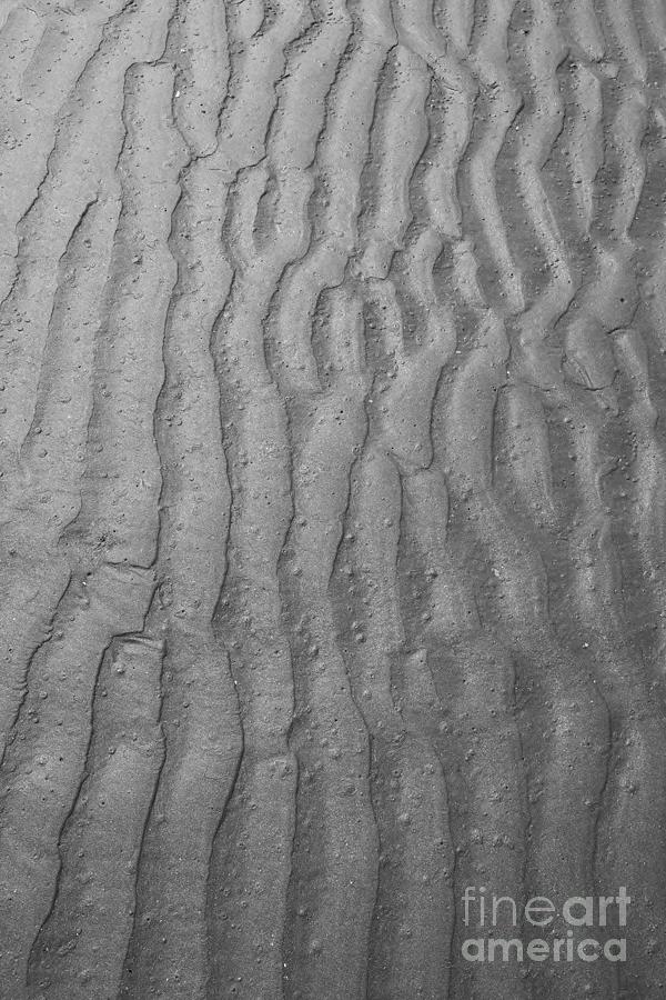Sand by Jeni Gray Sand by Jeni Gray