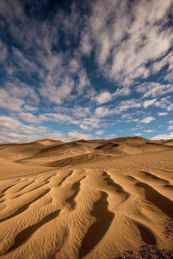 Sand Lines Photograph by Dan Ballard - Fine Art America