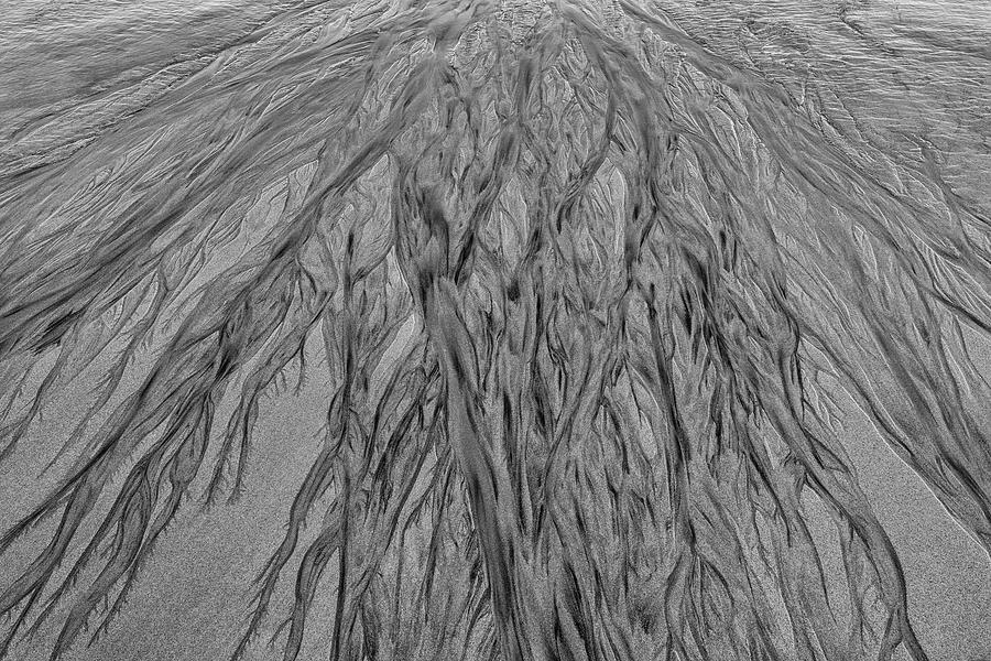 Sand Pattern Photograph by Ken Weber