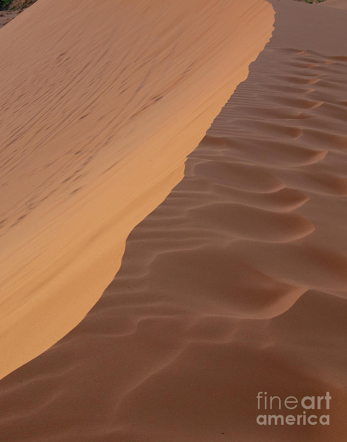 Coral Pink Sand Dunes Photograph - Sand Patterns  F1068 by Stephen Parker
