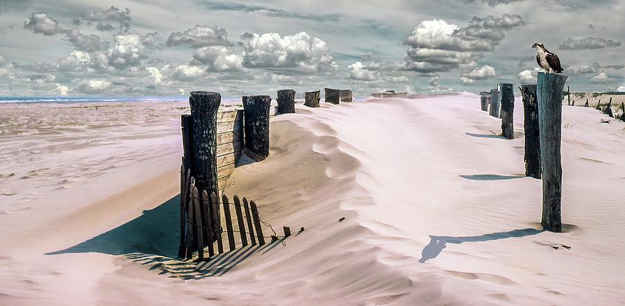 Sand Photograph by Richard Goldman Sand Photograph by Richard Goldman