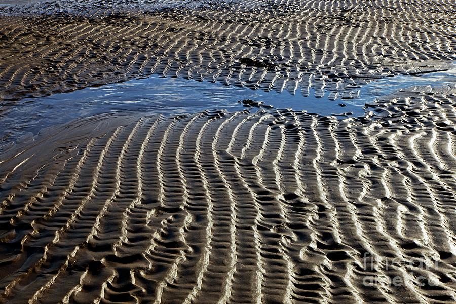 Sand Ripples At Low Tide Photograph by Dr Keith Wheeler/science Photo Library