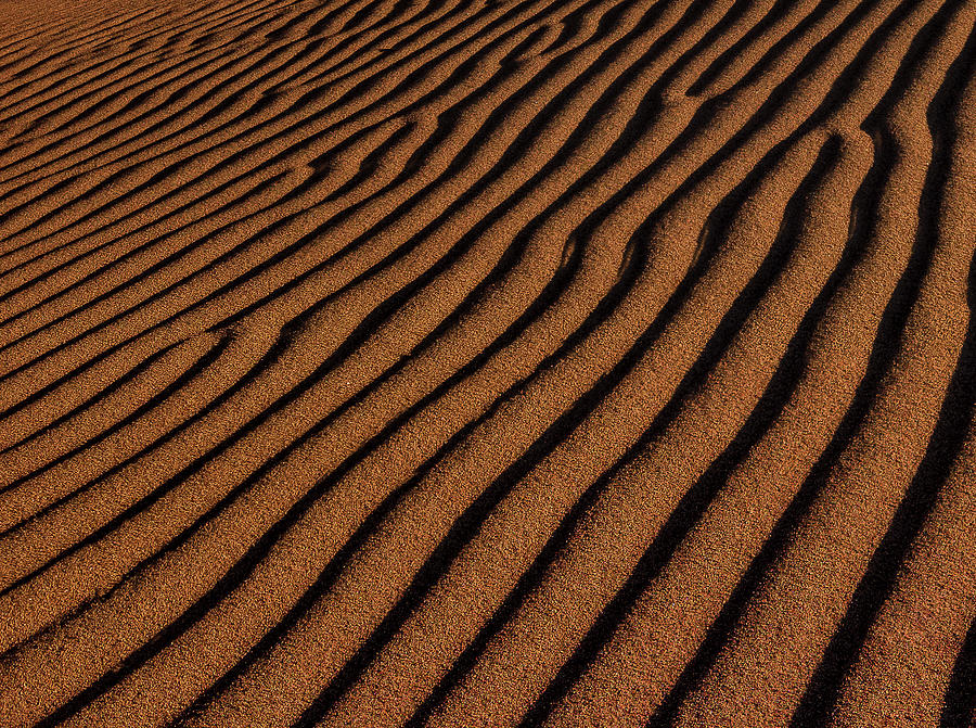 Sand Ripples Photograph - Sand Ripples by Bill Sherrell