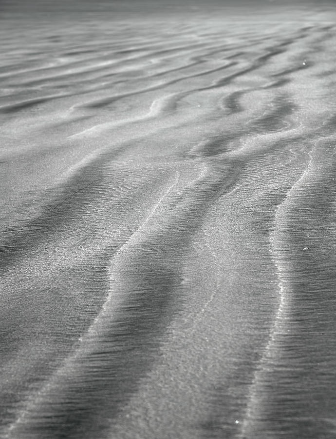 Sand Ripples Bw Photograph