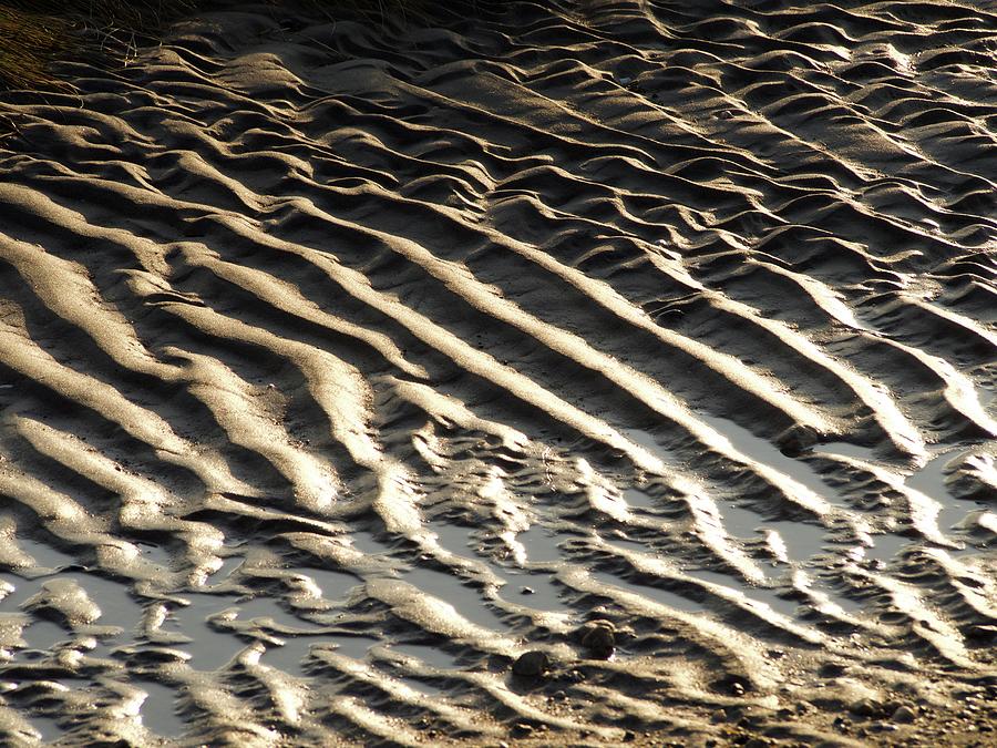 Sand Ripples Photograph by Denise Benson - Fine Art America