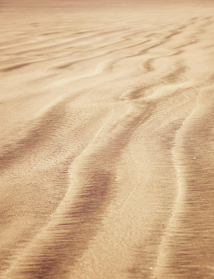 Sand Ripples Photograph by Joan Carroll